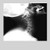 Buyenlarge Skull and Neck - 8" X 12" Fine Art Giclee Print