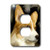 3dRose lsp_4068_6 Corgi 2 Plug Outlet Cover