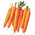 Burpee Scarlet Nantes Carrot Seeds 3000 seeds