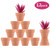 Yoodelife Small Mini Clay Pots, 2" Terracotta Pot Clay Ceramic Pottery Planter, Cactus Flower Nursery Terra Cotta Pots, with Drainage Hole, for Indoor/Outdoor Succulent Plants, Pack of 12