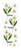 Martha Stewart Crafts Stickers, Narcissus Millinery