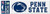 Wincraft NCAA Penn State University Nittany Lions 3" x 10" Perfect Cut Decal