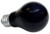 Zoo Med 26379 Moonlite Reptile Bulb, 60W,black