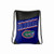 Florida Gators "Incline" Backsack, 18" x 13.5"