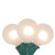 Northlight Christmas Globe Lights/G40 Lights, White