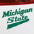 Michigan State University MSU Spartans Hockey Script Logo Car Window Decal Bumper Sticker (Green)