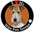 E & S Pets Car Magnet, Wire Fox Terrier