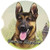 E&S Pets German Shepherd Coaster, 3" x 3"