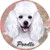 E&S Pets White Poodle Coaster, 3" x 3"