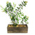 CYS EXCEL Rectangular Decorative Planter Box with Removable Zinc Metal Liner (H:5" Open:15"x5") | Multiple Size Choices Wooden Rectangular Planter | Indoor Decorative Window Flower Box