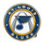 FANMATS NHL St. Louis Blues Color Auto Emblem