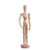 Cosmos 12" Wooden Articulated Figure Manikin Articulated Mannequin Artist Drawing Mannequin Model for Drawing Sketching Painting, with Stand/Base