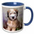 3dRose mug_4810_6 Soft Coated Wheaten Terrier - Two Tone Blue Mug, 11oz, Multicolored