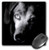 3dRose LLC 8 x 8 x 0.25 Inches Black Dachshund Portrait Mouse Pad (mp_1210_1)