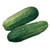 Burpee Pickler Cucumber Seeds 100 seeds