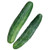 Burpee Bush Champion Slicing Cucumber Seeds 60 seeds