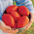 Burpee 'Big Mama' Hybrid | Large Red Paste Tomato | 50 Seeds