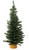 Vickerman Mini Pine Tree with Wood Base Green Tabletop Tree, 24-Inch