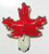 Stained Glass Red Maple Leaf Night Light