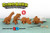 SUCK UK Bake your own 3D Dinosaur - Brachiosaurus