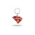 NCAA Rico Industries State Shape Keychain, Clemson Tigers