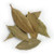 Frontier Co-op Bay Leaf Whole, Hand Select, Certified Organic, Kosher, Non-irradiated | 1 lb. Bulk Bag | Laurus nobilis L.
