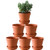 Terra Cotta Pots with Saucer- 6-Pack Large Terracotta Pot Clay Pots 5.5'' Clay Ceramic Pottery Planter Cactus Flower Pots Succulent Pot with Drainage Hole- Great for Plants,Crafts terra cotta planter