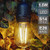 VAVOFO B07V59X8K4 LED Bulbs for Outdoor String Lights