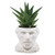 The Unemployed Philosophers Guild Vincent Van Gogh Bust Succulent Planter - Plant Holder Pot for Small Cactus, Flowers, Herbs, and More