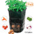 Amgate 2 Pack 10 Gallon Garden Potato Grow Bag Vegetables Growing Planter Tub with Handle Access Flap for Harvesting Vegetables: Potato, Carrot, Tomato, Onion