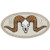 Maxpedition Ram Skull 1.9 x 1.0 Patch, Arid