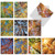 10 Assorted Blank All-Occasion Greeting Cards with Envelopes - Blank Note Cards 4 x 5.12 inch Featuring Ground View of Autumn Treetops for All Occasions M2006sl - NobleWorks