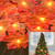 Fall Decor Maple Leaf String Lights for Thanksgiving Christmas 40 LED Maple Fall Leaf Garland Waterproof 3AA Battery for Indoor,Outdoor