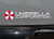Umbrella Corporation with Name - Resident Evil Decal