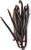 Gourmet Tahitian Vanilla Beans  10 beans