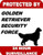 Top Shelf Novelties Protected by Golden Retriever Dog Security Force 24 Hour Dog Sign SP1741