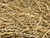 AA Plus Shop 100  Natural Wheat Straw Grass Animal Bedding and Farm Wheat Straw  4LB