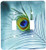 3dRose LSP_211236_2 Peacock Feather on Turquoise Background Double Toggle Switch