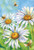 Toland Home Garden Honey Bees and Daisies 28 x 40 Inch Decorative Spring Bee Daily Flower House Flag