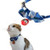 Necoichi Daruma Charm Bow Tie Cat Collar  Blue