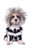 Rubie s Beetlejuice Pet Costume Extra Large