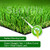 SunVilla SV1 1 Turf Artificial Lawn Grass 33 ft X 5 ft  165 square feet