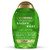 OGX Extra Strength Refreshing Scalp   Tea Tree Mint Shampoo 13 Ounce