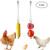 N Y 2 Pcs Chicken Veggies Skewer Fruit Holder Stainless Steel Chain Hanging Chicken Feeder Chicken Toys for Hens Birds Pet Chicken Coop Supplies N Y 2 Pcs Chicken Veggies Skewer Fruit Holder Stainless Steel Chain Hanging Chicken Feeder Chicken Toys for Hens Birds Pet Chicken Coop Supplies