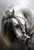 5D DIY Diamond Painting Kit ZSNUOK 5D Diamond Art Kit Full Round Drill for Adults or Kids Embroidery Dotz Kits Arts Craft Mosaic Making Cross Stitch for Home Wall Decor White Horse 12x16 inches