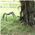 492inch Halloween Spider Black Giant Hairy Spider Outdoor Indoor Large Scary Poseable Furry Spider Realistic Props Party Decor black  by Shellvcase