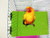 Hypeety Colorful Bird Perch Stand Platform for Parrot Macaw African Greys Budgies Parakeet Cockatiels Natural Wood Paw Grinding Clean Cage Toy  Random Color  B