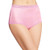 Hanes Women s Nylon Brief Panties 6 Pack
