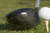 Posterazzi Golf Ball On Tee Hit Poster Print by Driver  17 x 11
