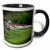 3dRose Augustas Amen Corner Golf Course Mug 11 oz Black